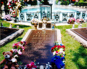 Elvis Presley biography