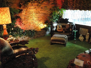 Elvis Presley picture of the jungle room