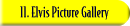11. Elvis Picture Gallery
